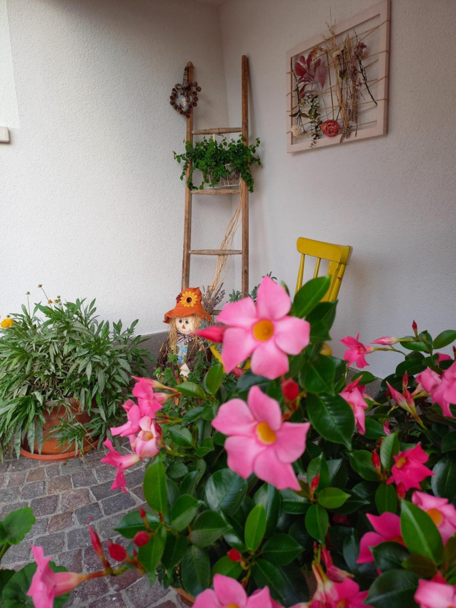 Casa Vacanze Paola Romeno Exteriér fotografie